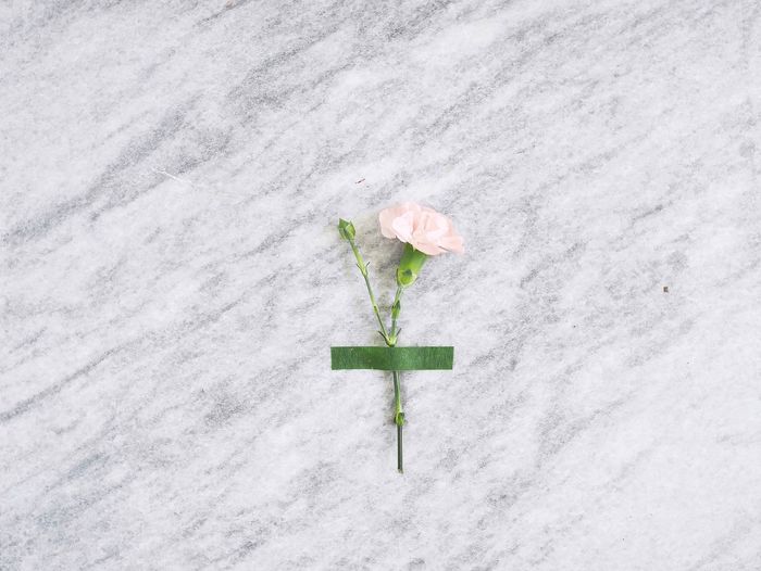 High angle view of flower on marble