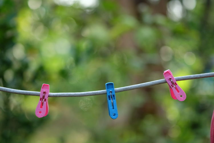 Close-up of raindrops hanging on clothesline