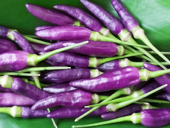 Full frame shot of purple chili peppers