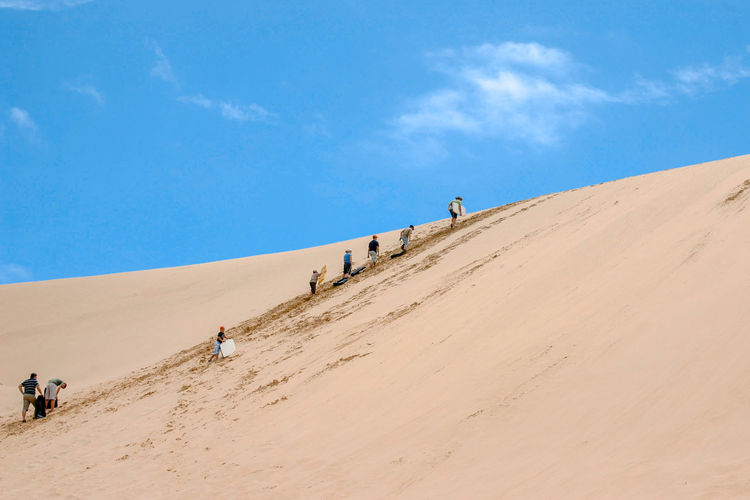 Low angle view of people with sandboard on desert