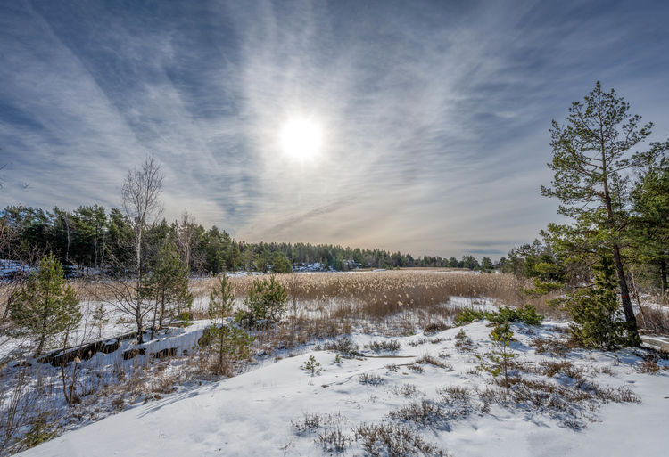 Snow covered field against sky during winter
