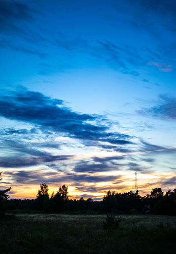 Silhouette trees on field against sky at sunset