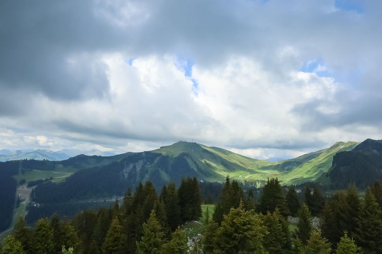 Panoramic view of trees and mountains against sky in flaine, france 
