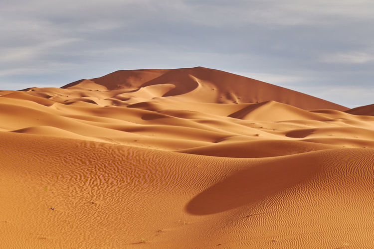 Sand dune merzouga morocco sahara 