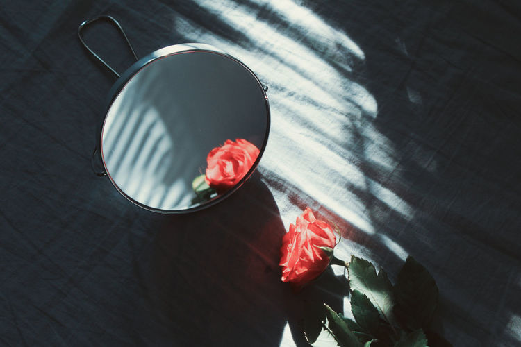 Reflection of rose in mirror