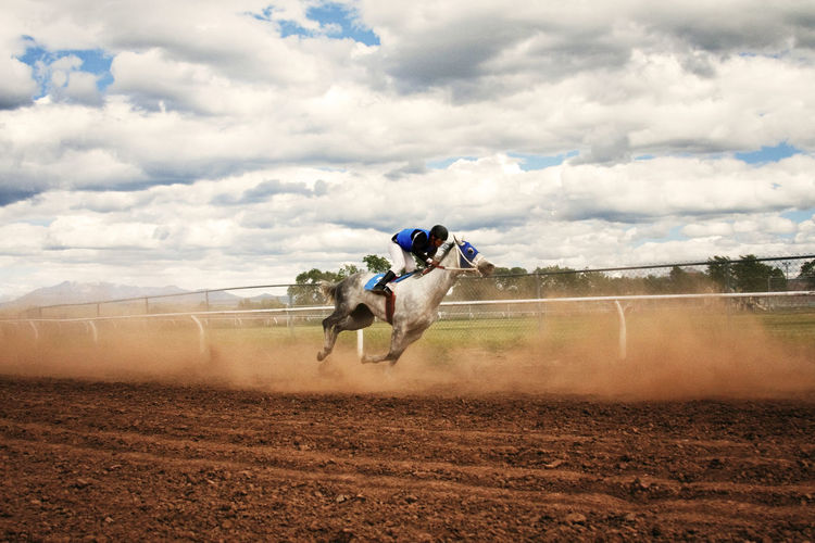 Side view of jockey riding horse at competition