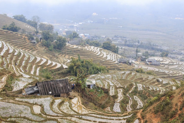 Rice terraces in sapa, vietnam