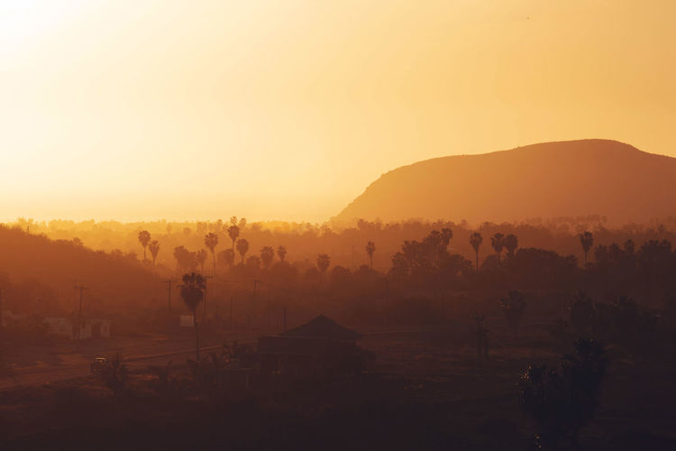 Warm orange sunset over palms trees and mountains