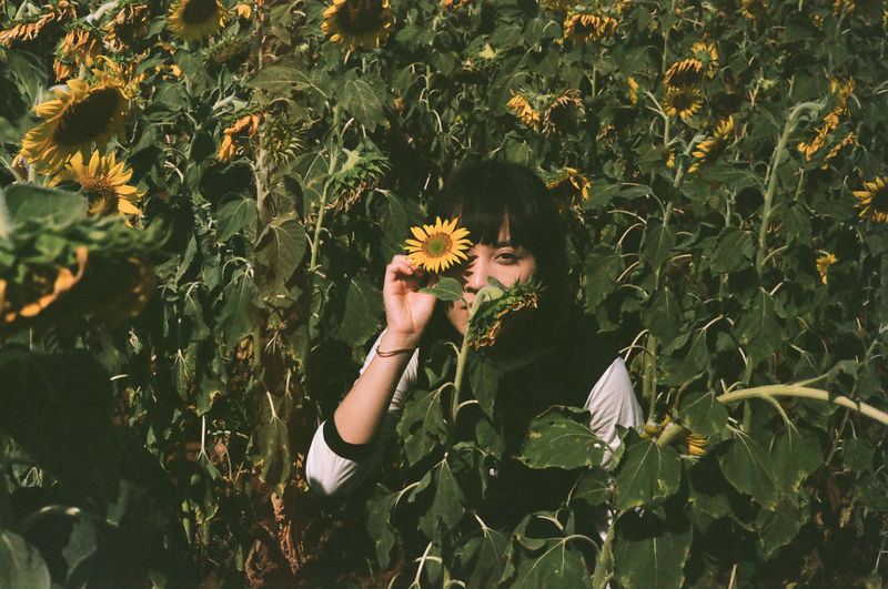 Woman holding sunflower