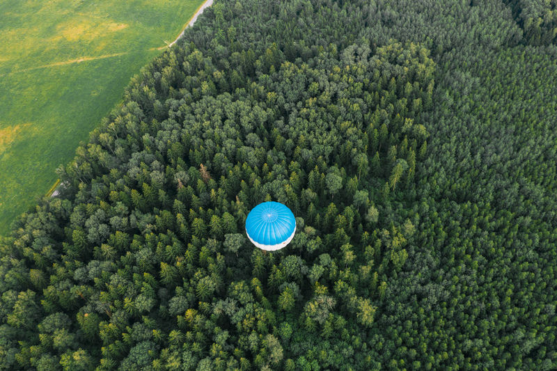 Flying hot air balloon over the green forest.