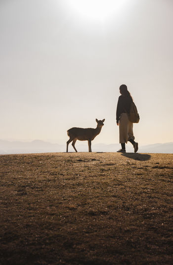 Girl on mount wakakusa with light during a low warm winter sun sight before sunset nara deer 
