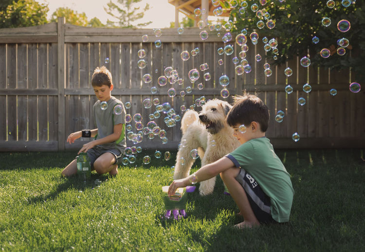 Brothers blowing bubbles with schnauzer at backyard during summer
