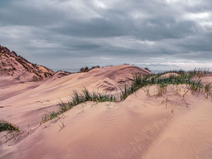 Scenic view of dunes against sky