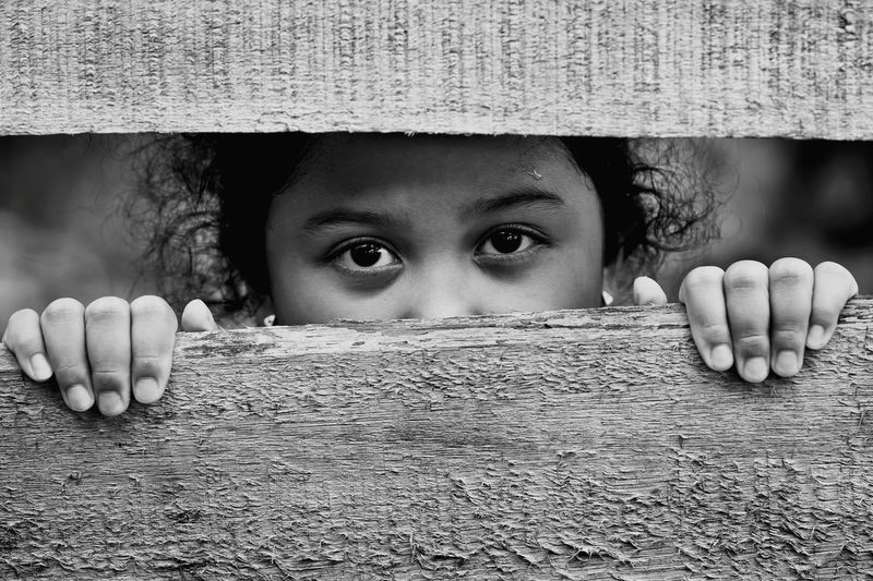 Portrait of girl looking through wooden fence