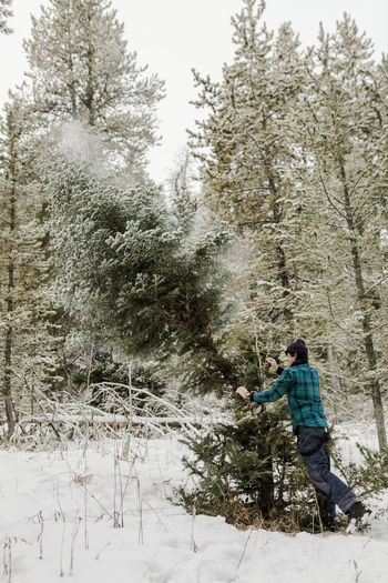 Side view of man pushing pine tree in forest during winter