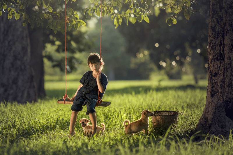 Girl looking at puppies on field while enjoying rope swing