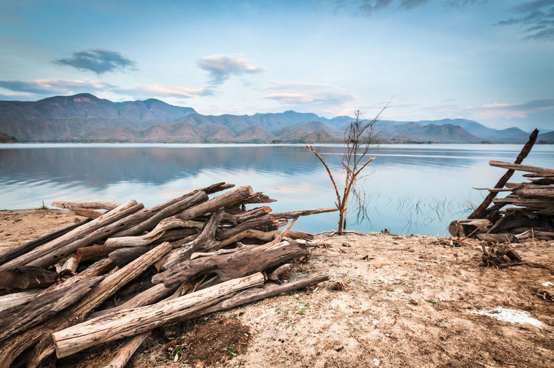 Driftwood on lakeshore against sky