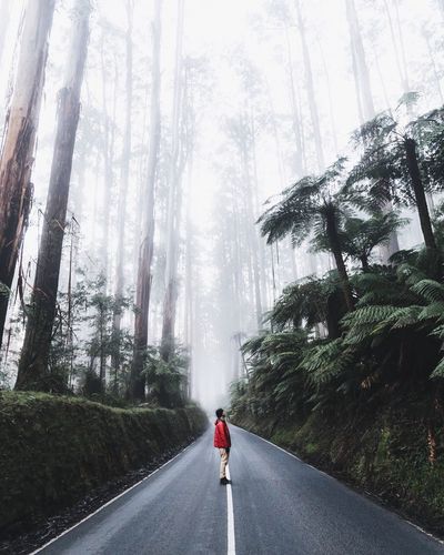 Side view of man standing on road amidst trees during foggy weather