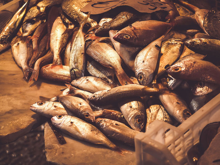 High angle view of fish for sale
