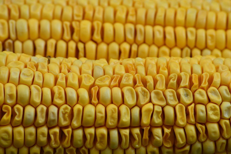 Full frame shot of yellow corn