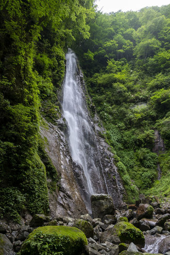 waterfall