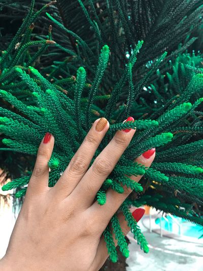 Close-up of woman hand touching plant