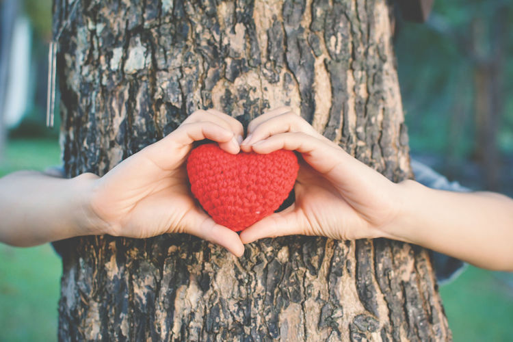 Close-up of hand holding heart shape tree trunk in forest