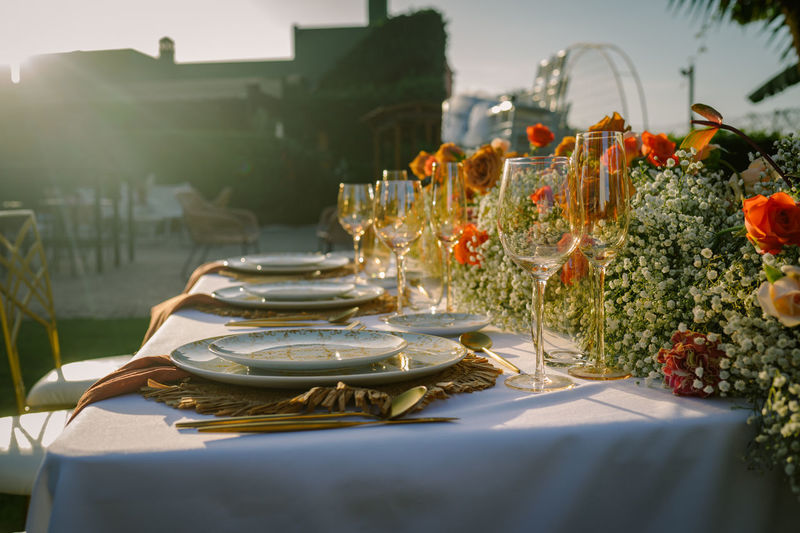 High angle view of plants on table