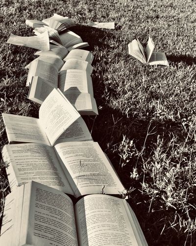 High angle view of books on field