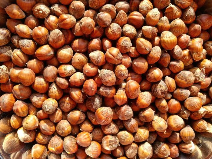 Dried hazelnuts 