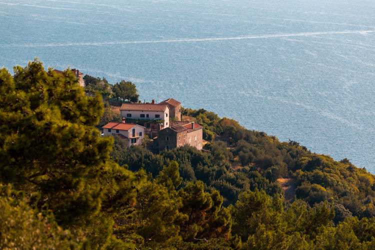 High angle view of trees and buildings in forest