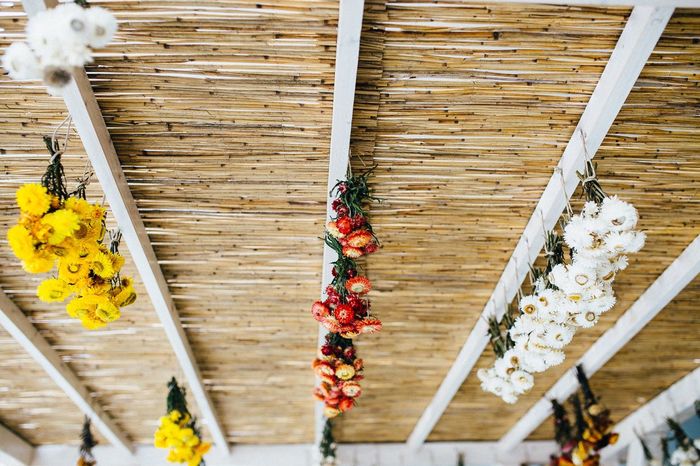 Low angle view of various colorful flowers on wooden ceiling
