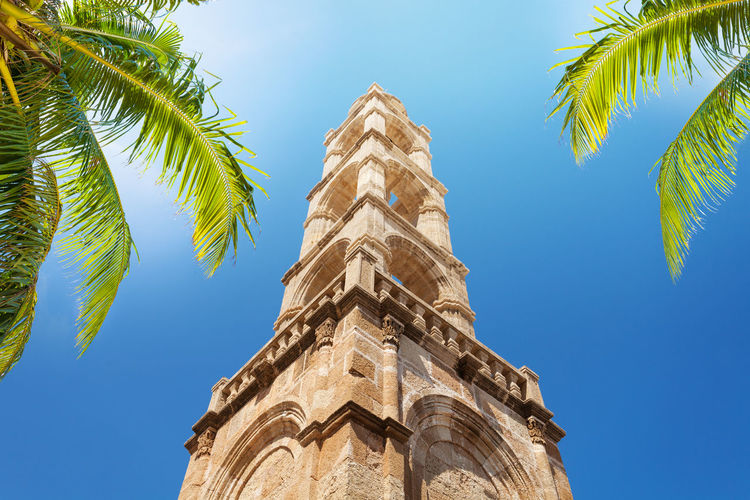 Low angle view of coconut palm tree against blue sky