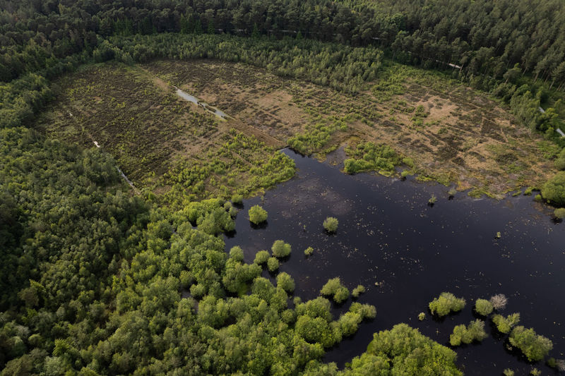 High angle view of water