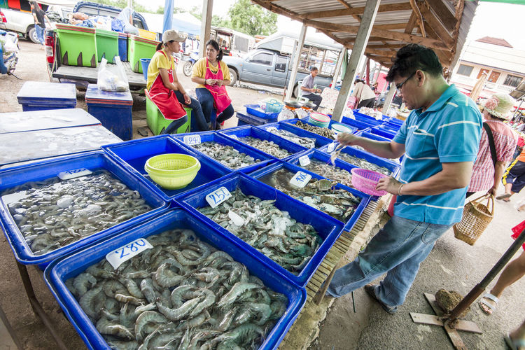 Man standing in fish for sale at market stall