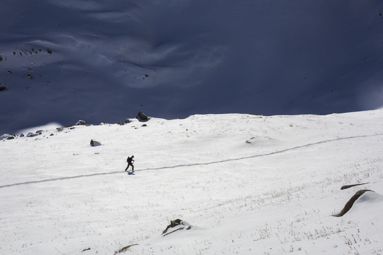 One person skis in an alpine meadow in colorado.