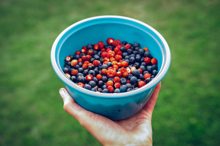 Blue bowl full of forest fruit.