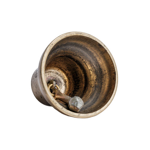 High angle view of shell against white background