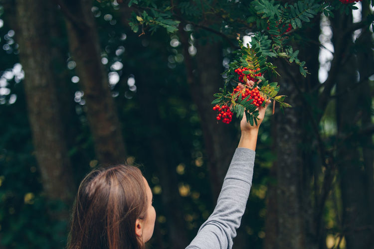 Rear view of woman touching berries growing on tree