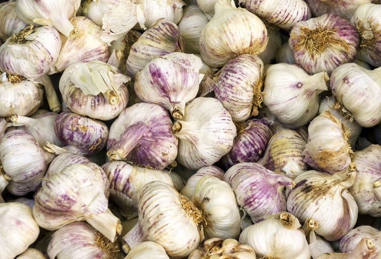 Detail shot of garlic bulbs