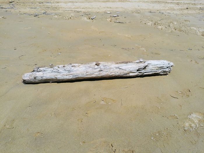 High angle view of driftwood on sand at beach