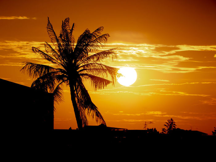 Silhouette palm tree against romantic sky at sunset