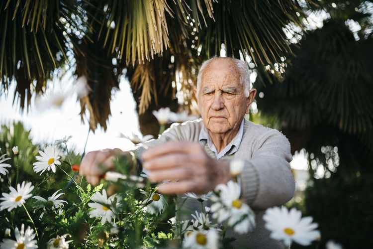Portrait of senior man working in the garden