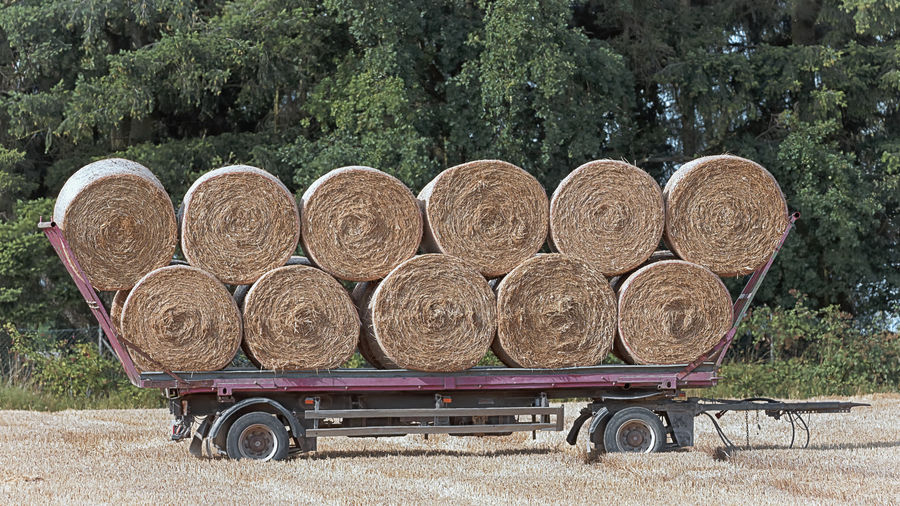 Stack of hay bales on field in forest
