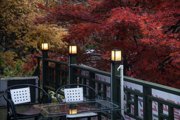 Empty chairs and trees