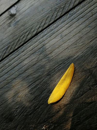 High angle view of bananas