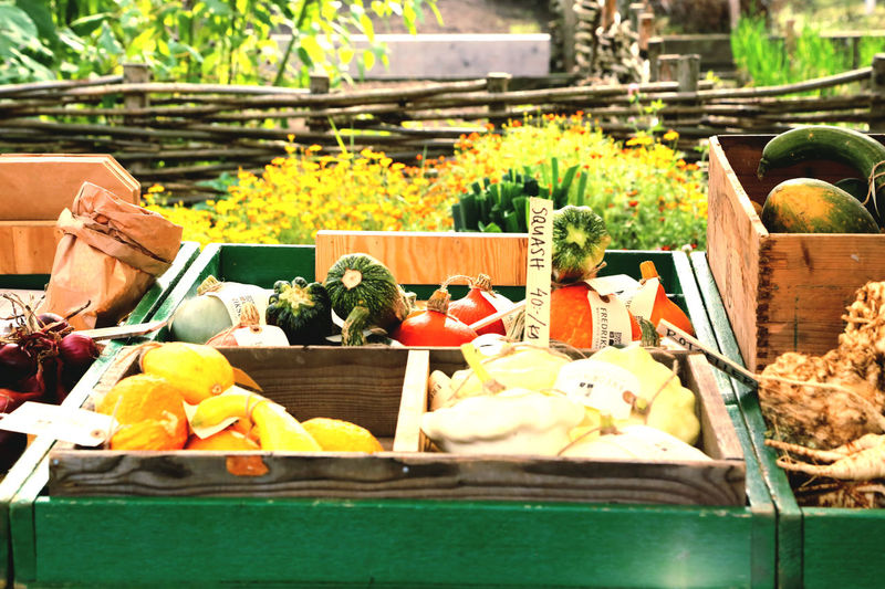Vegetables for sale at market stall