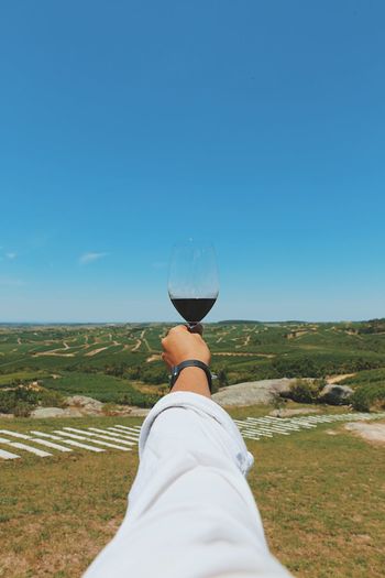 Cropped hand of man holding wineglass at vineyard against sky