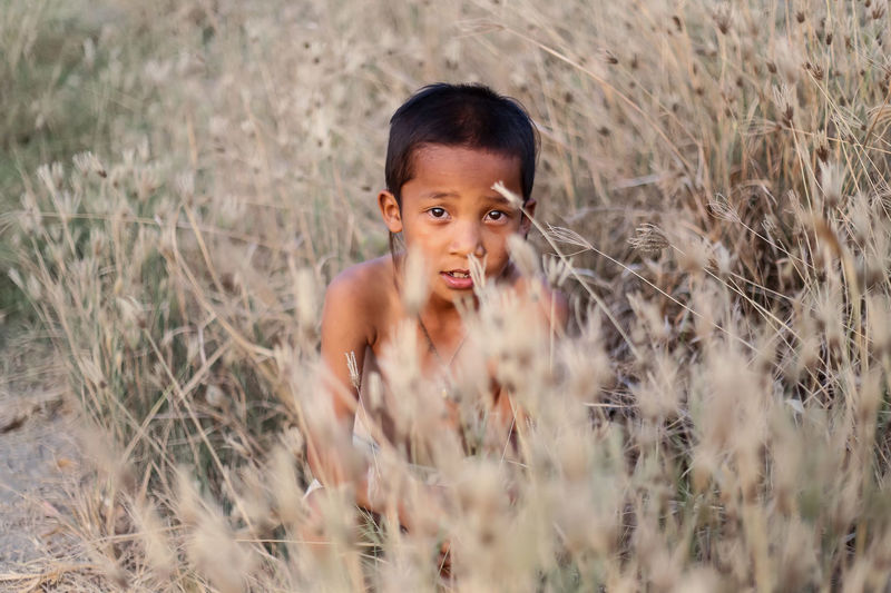 Portrait of shirtless boy crouching amidst dead plants at farm