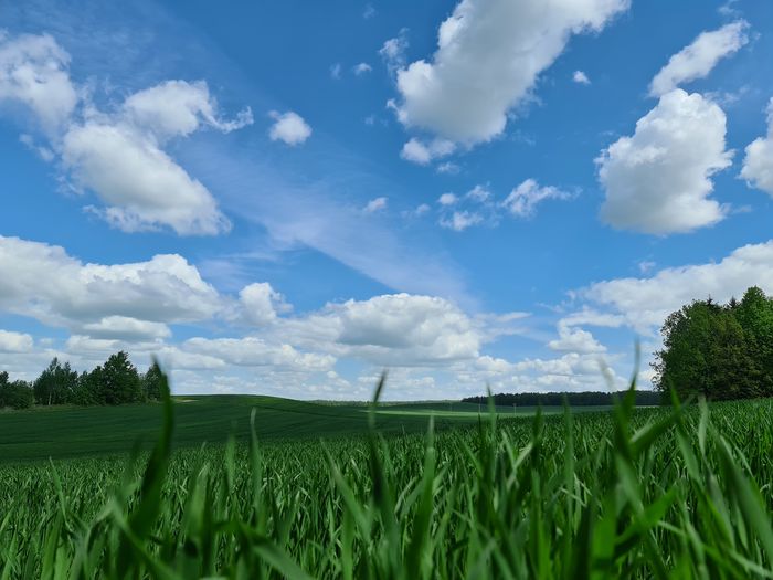 sky